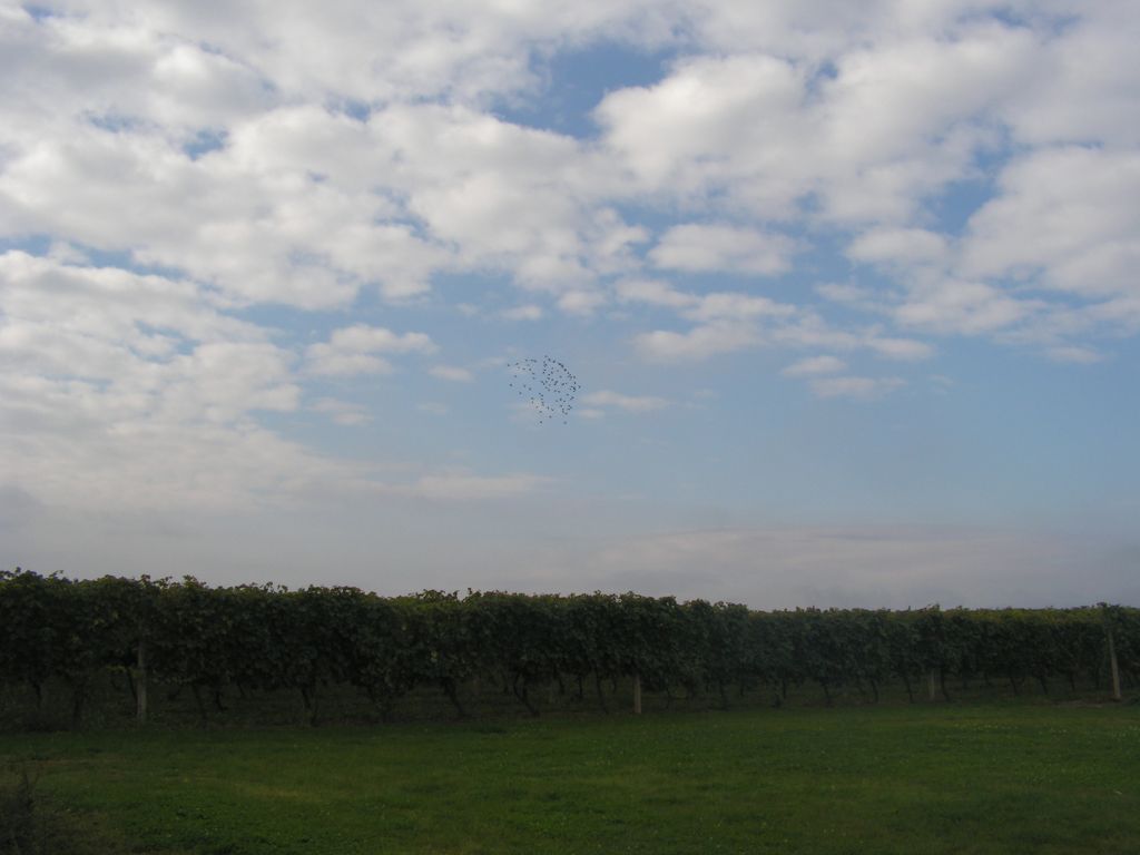 img01