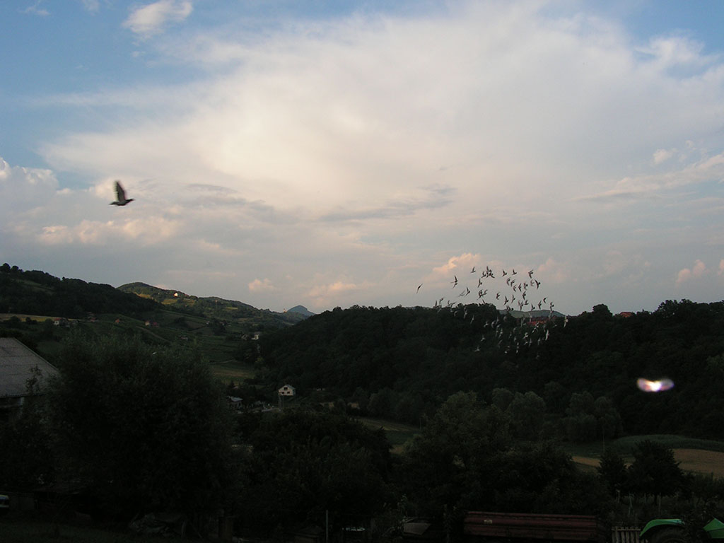 img01