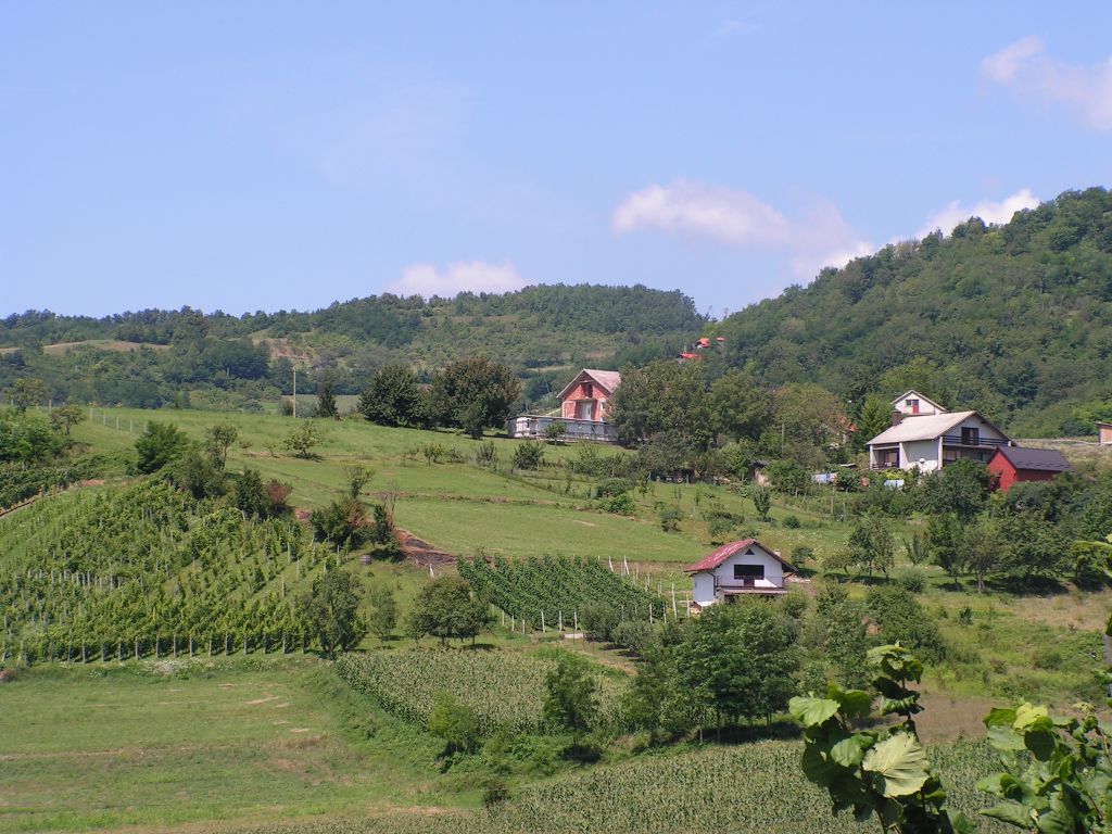 img01
