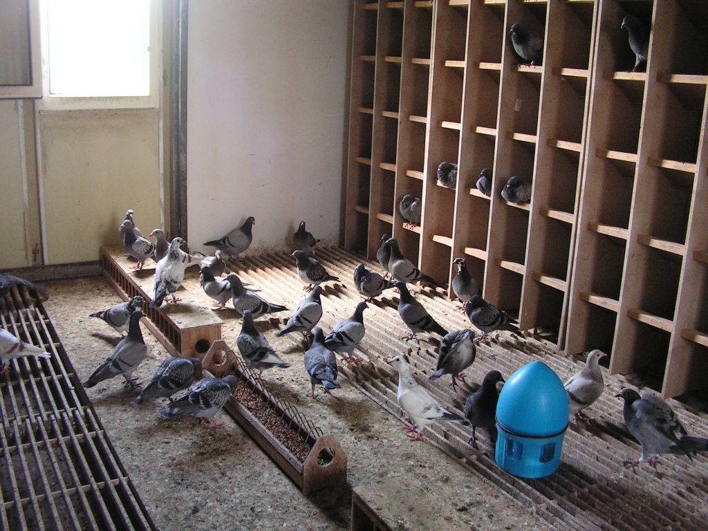 img01