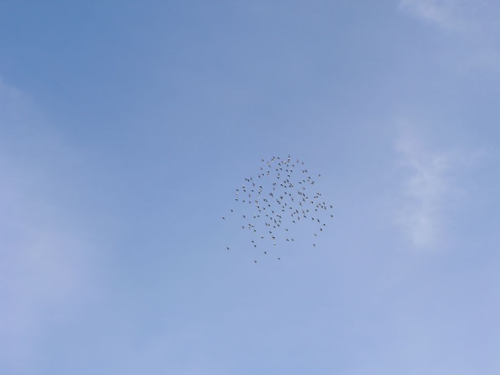 img01