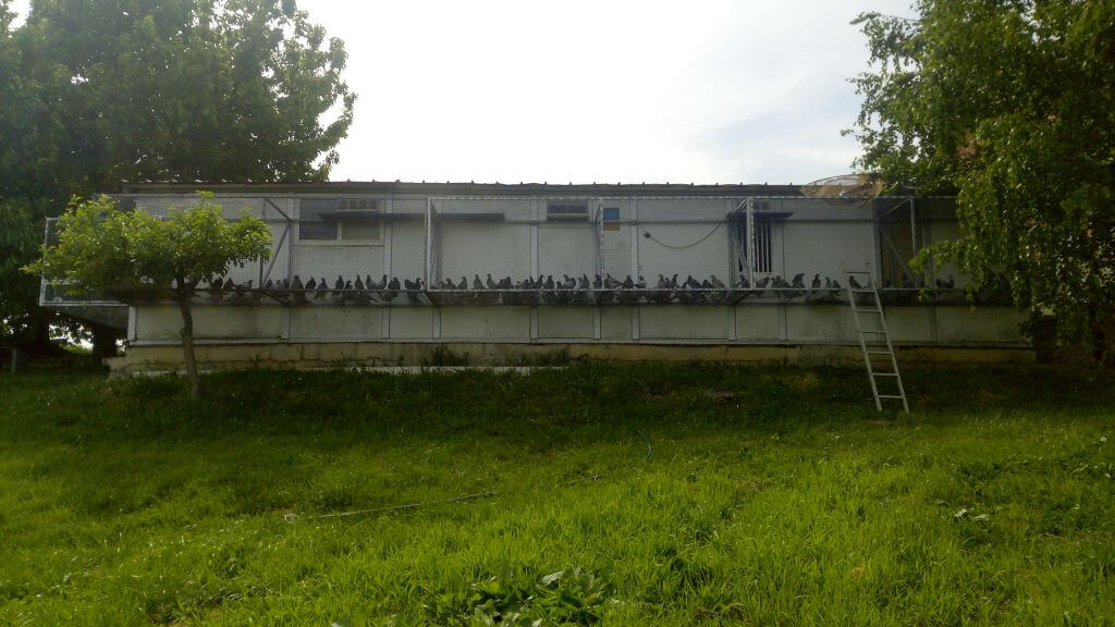 img01